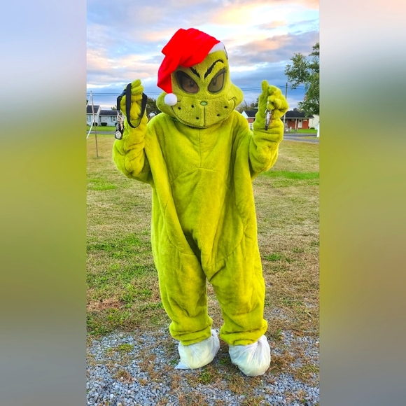 The Grinch Costume - Picture 3 of 12
